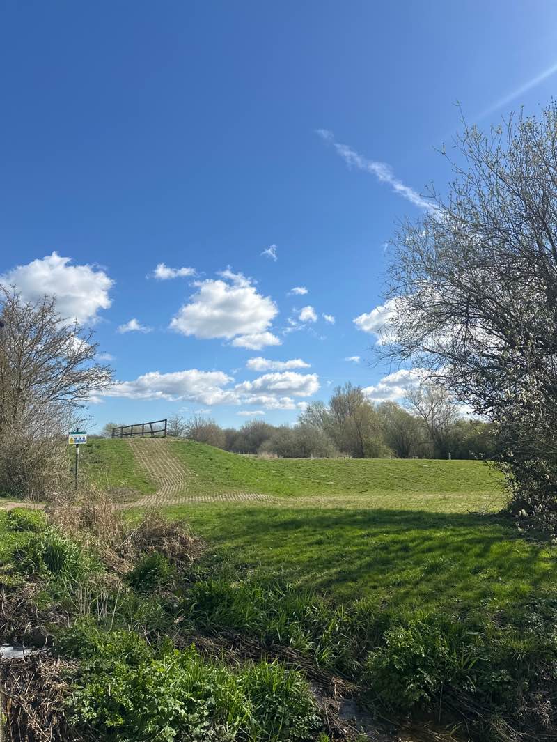 walking near me in Oakfield Park in spring
