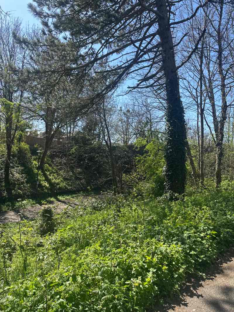walking near me in Honeybourne Line Open Space in spring