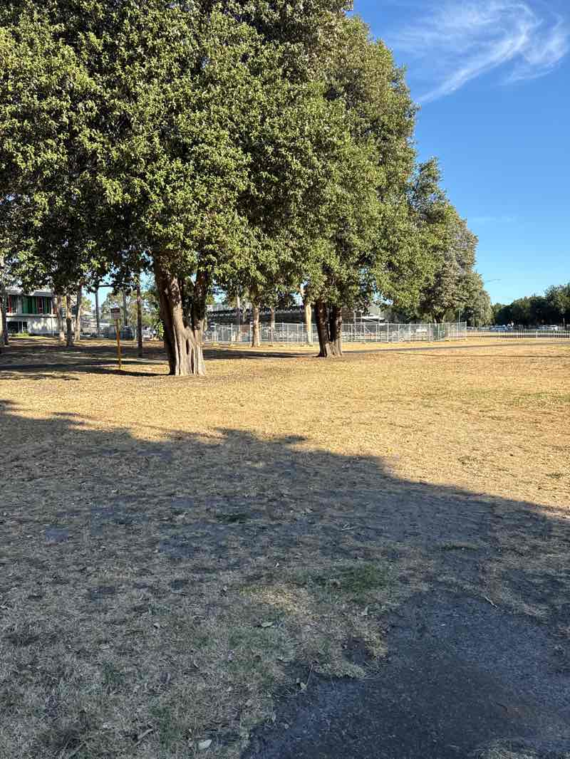 walking near me in Albert Park in summer