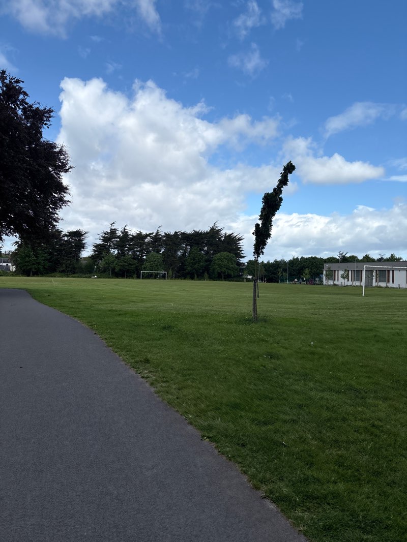 walking near me in Rockfield Park in spring
