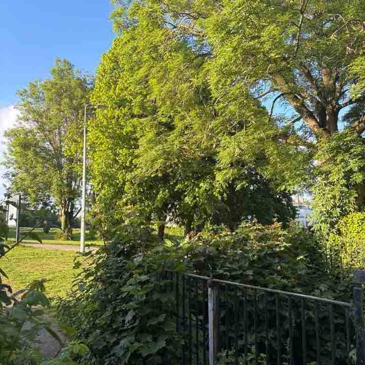 PacerGal_1968 post 1