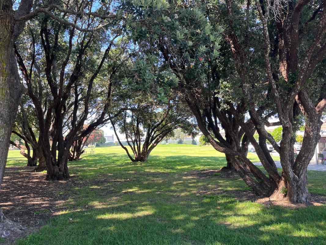 walking near me in Coronation Park in spring