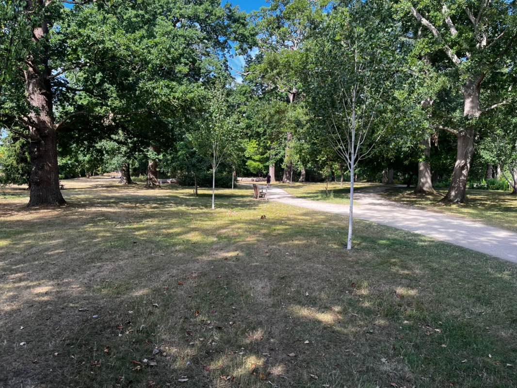 walking near me in Bushy Park in autumn