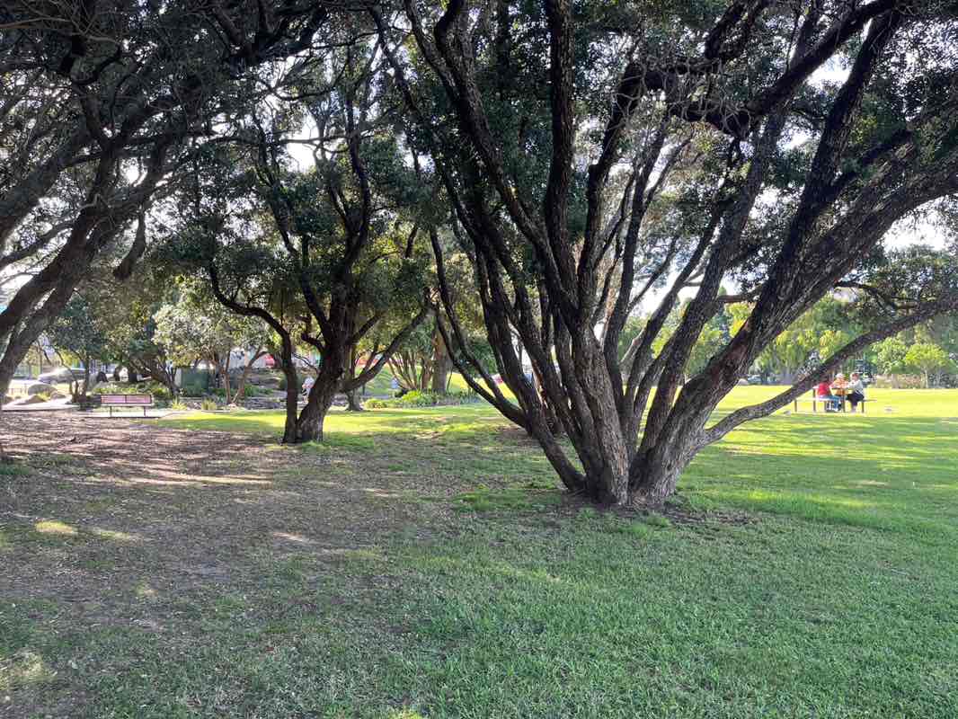 walking near me in Coronation Park in summer