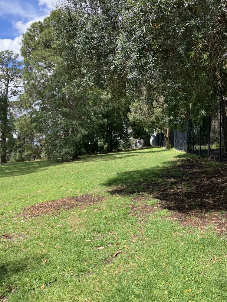 walking near me in Kings Domain in spring