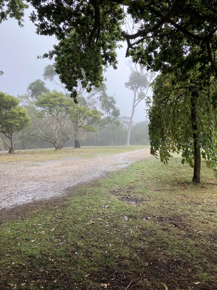 walking near me in Arthurs Seat State Park in autumn