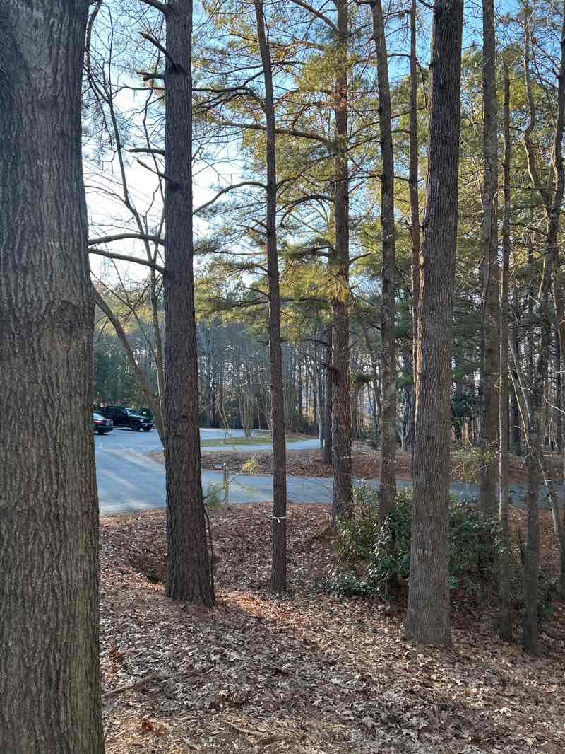 walking near me in Crowder Park in winter