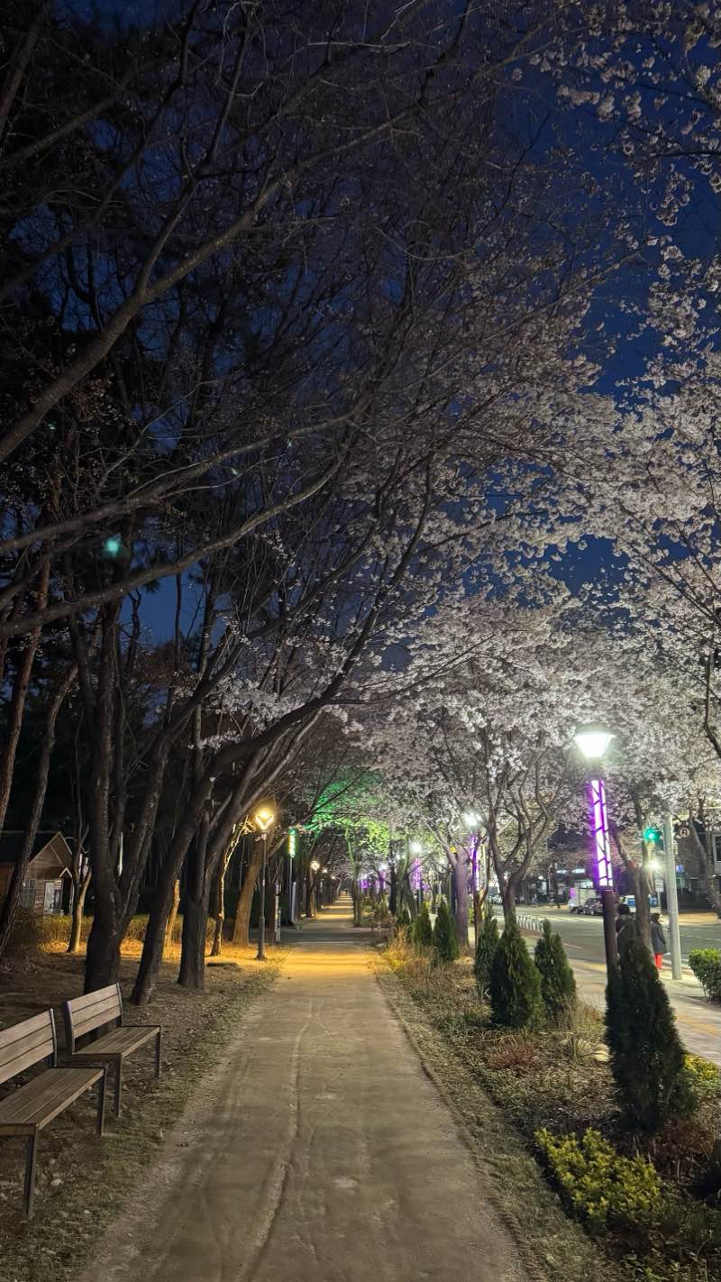 walking near me in 마루공원 in spring