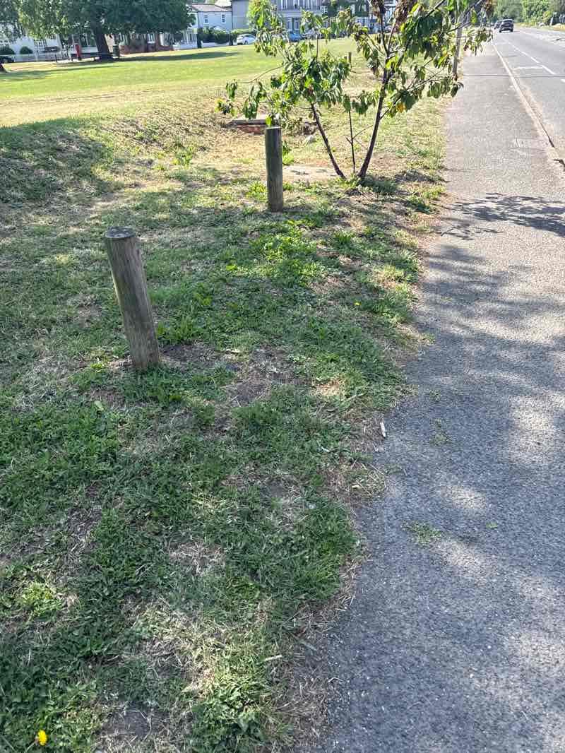 walking near me in Weston Green in summer