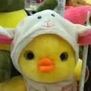 沉沉🍀🌱🌸🍁