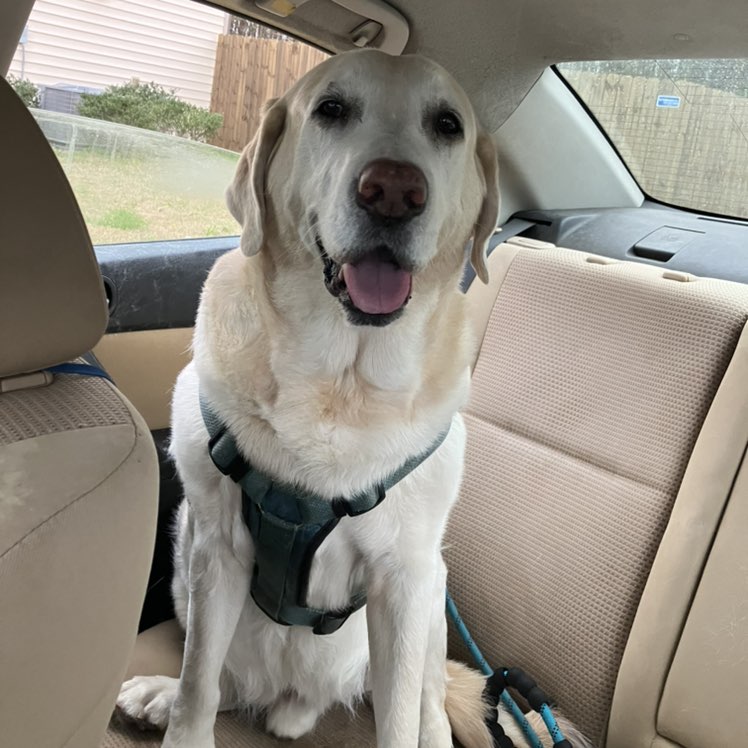 wåckāttâck 🐶🧡🏀