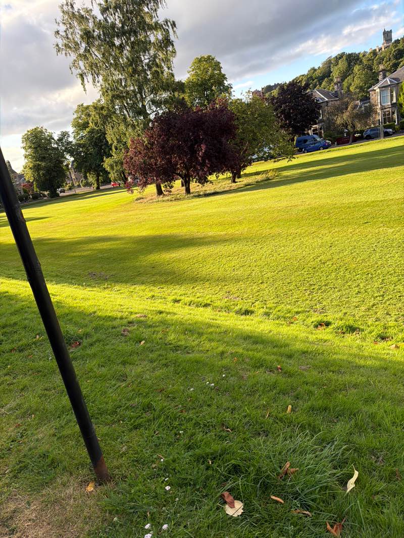 walking near me in Victoria Park in summer