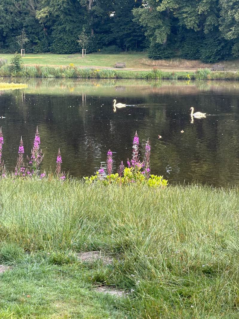 walking near me in Callendar Park in summer
