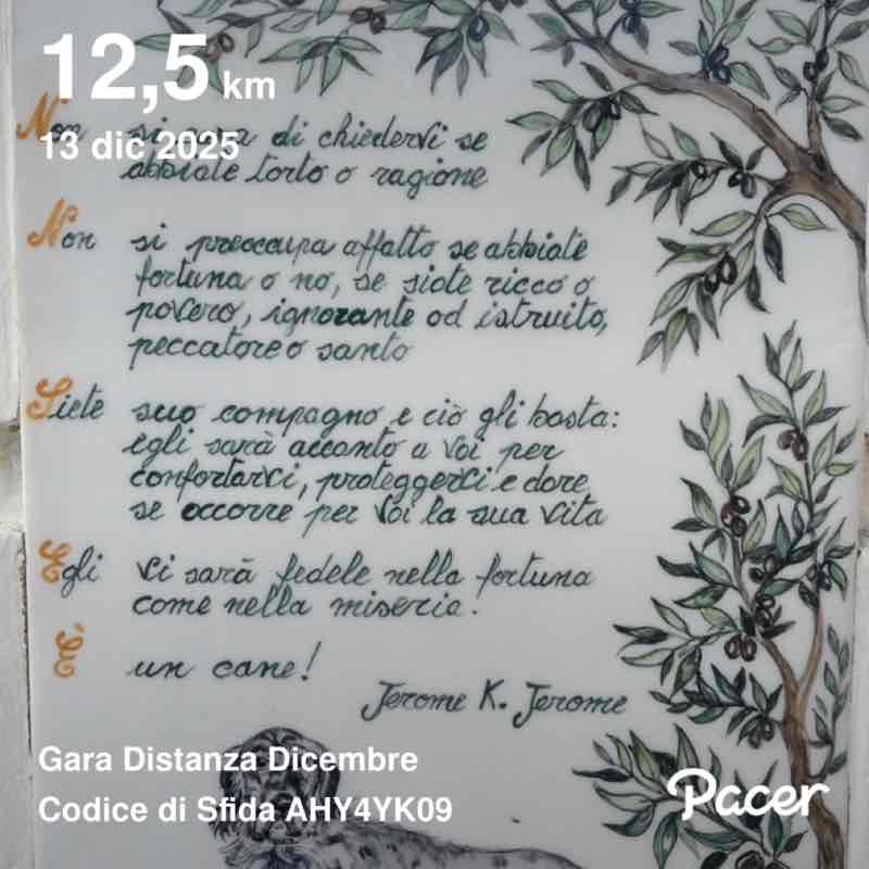 June Distance Challenge luigi post image