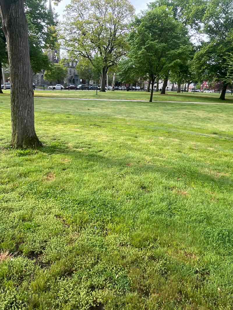 walking near me in Washington Park in spring