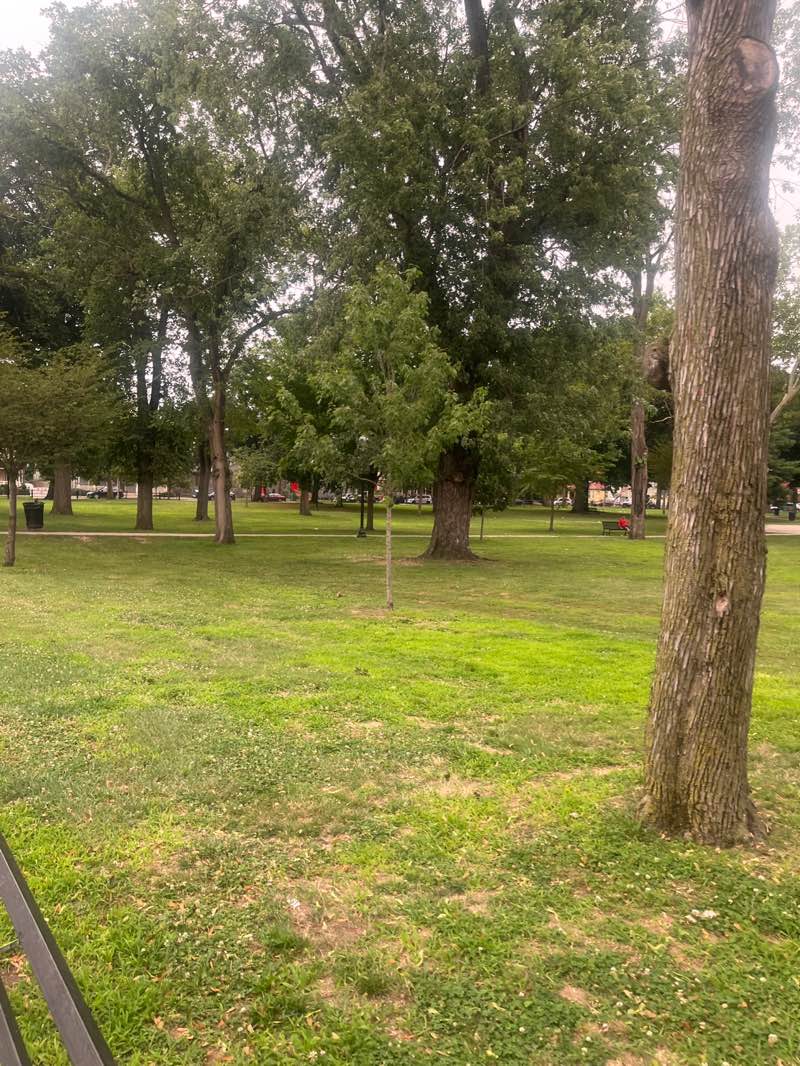 walking near me in Washington Park in summer
