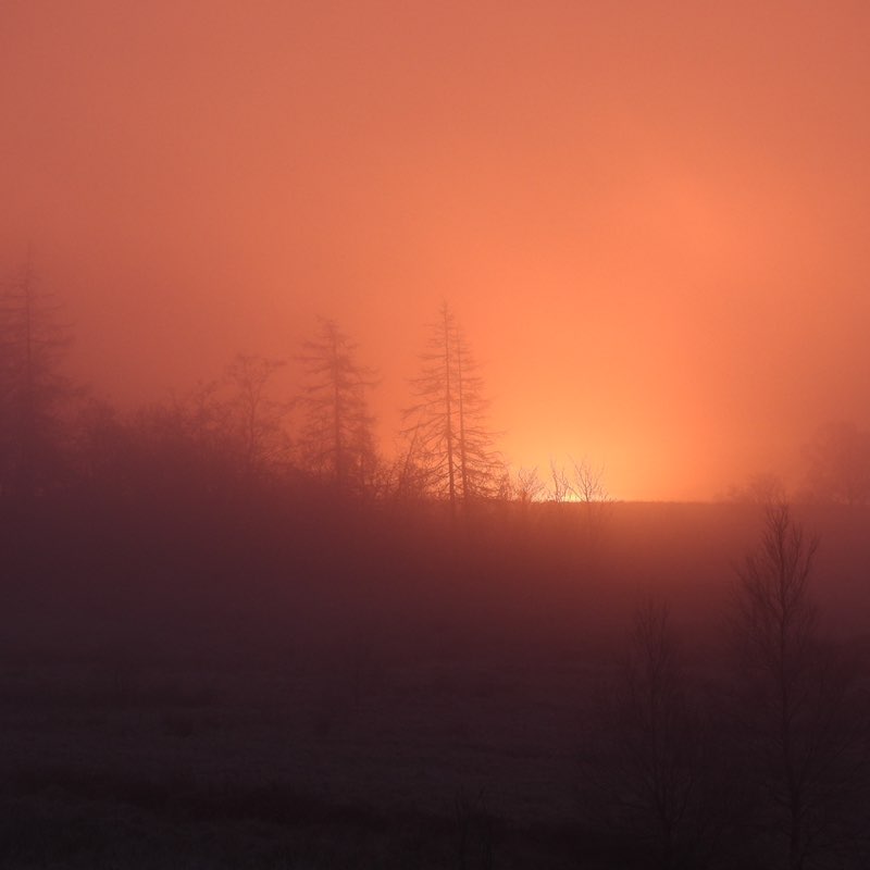 PacerGal_1963 post 3