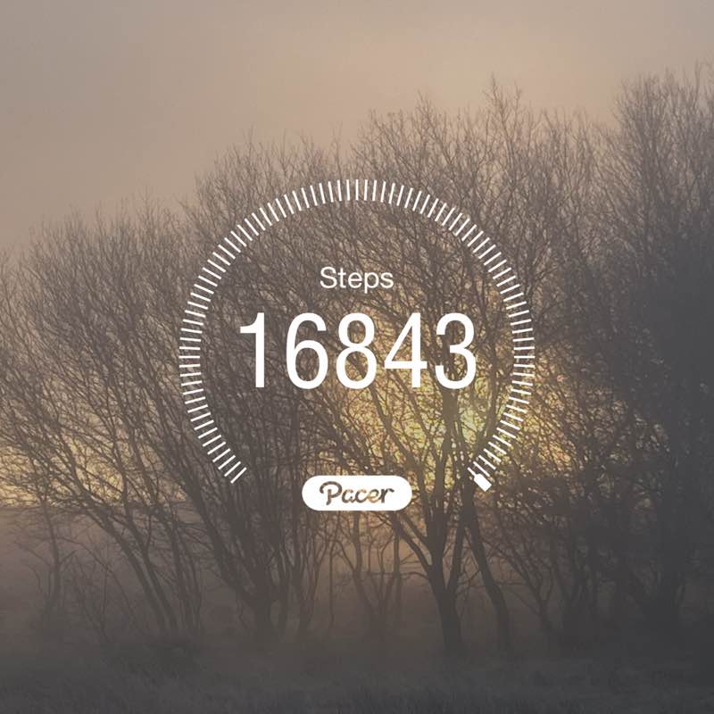 PacerGal_1963 post 1