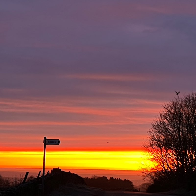 PacerGal_1963 post 1