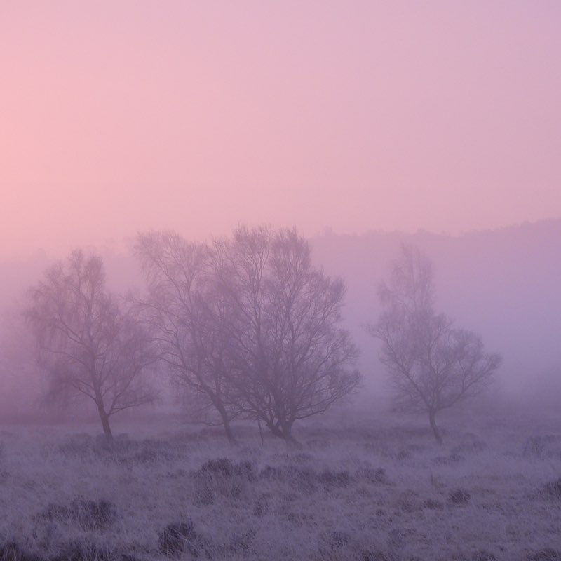 PacerGal_1963 post 2