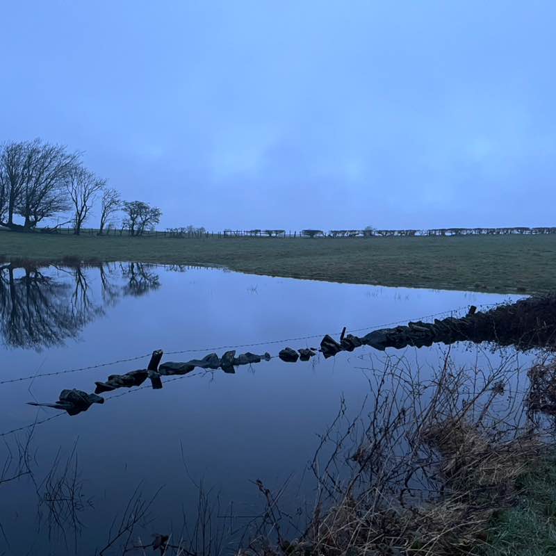 PacerGal_1963 post 1