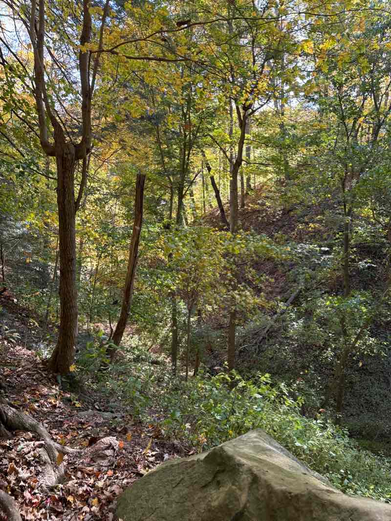walking near me in Turkey Run State Park in winter