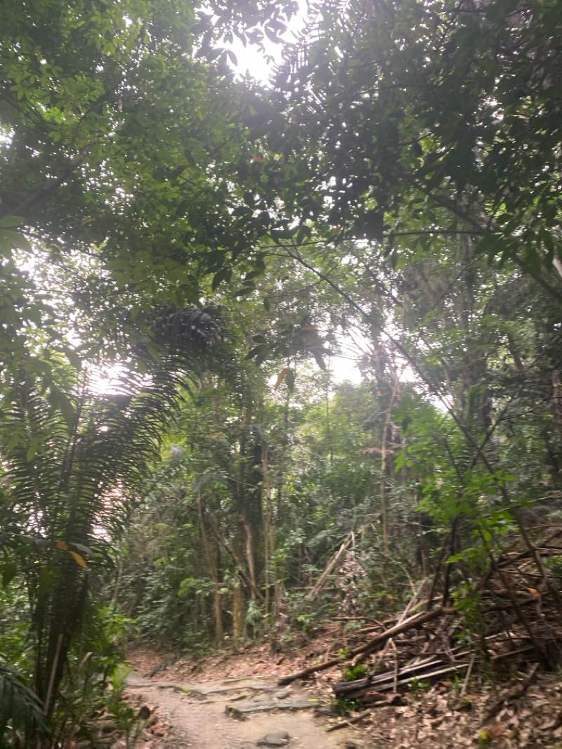 walking near me in Taman Rakyat in winter