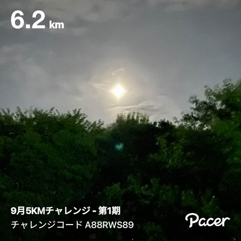 花子_1975 post 1