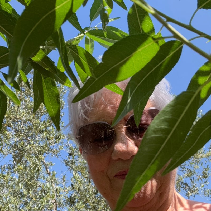 SOLEDAD🇪🇸 profile