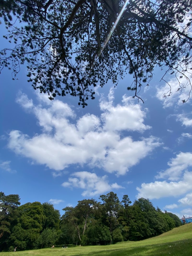 walking near me in Belvedere in summer