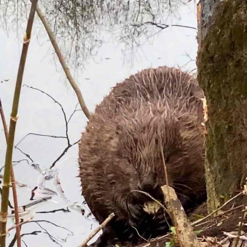 ⛵️ Елена 🇷🇺 post 1