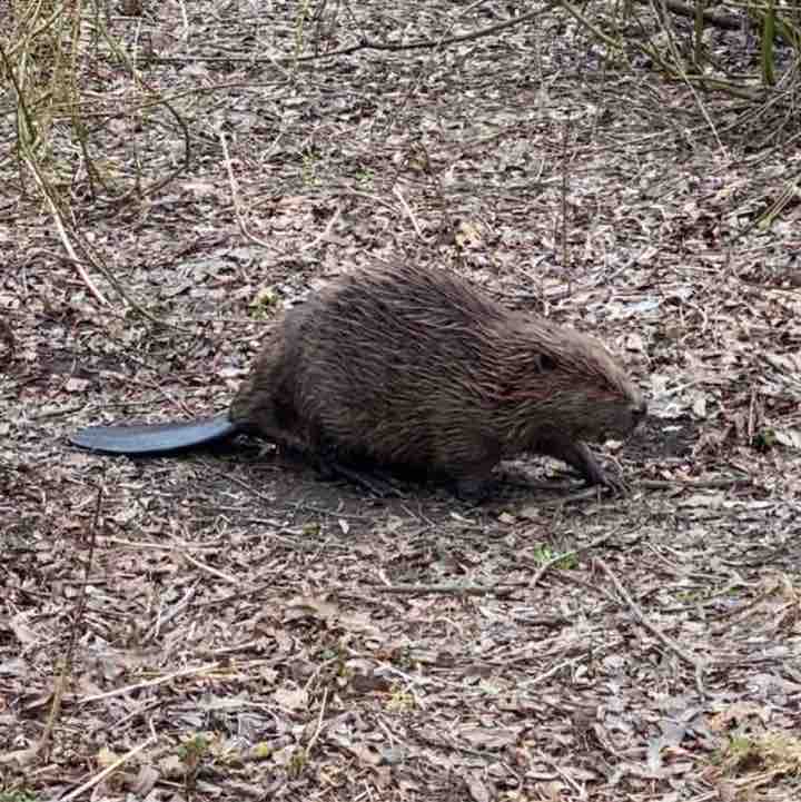 ⛵️ Елена 🇷🇺 post 2