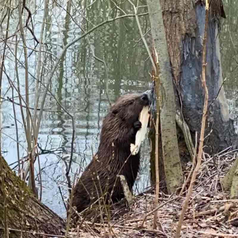 ⛵️ Елена 🇷🇺 post 3