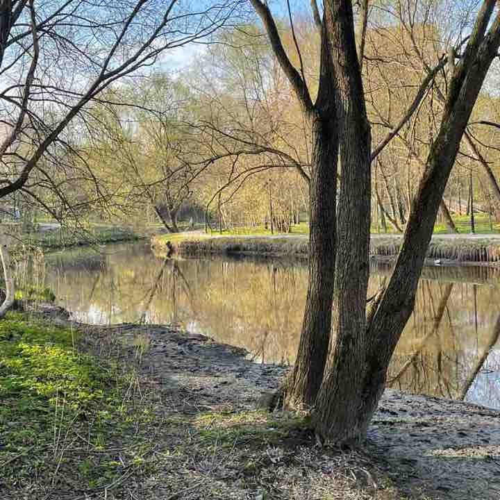 ⛵️ Елена 🇷🇺 post 2