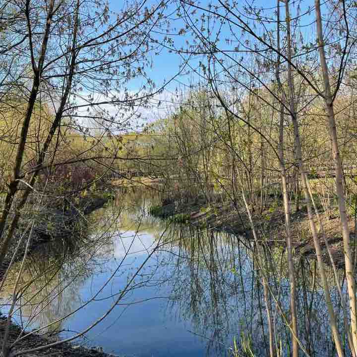 ⛵️ Елена 🇷🇺 post 3