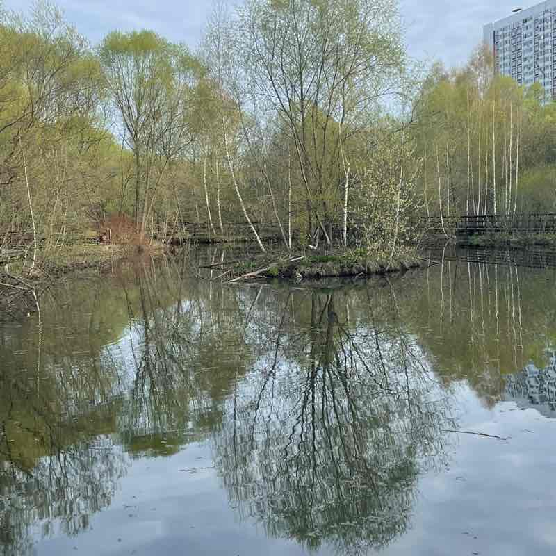 ⛵️ Елена 🇷🇺 post 2