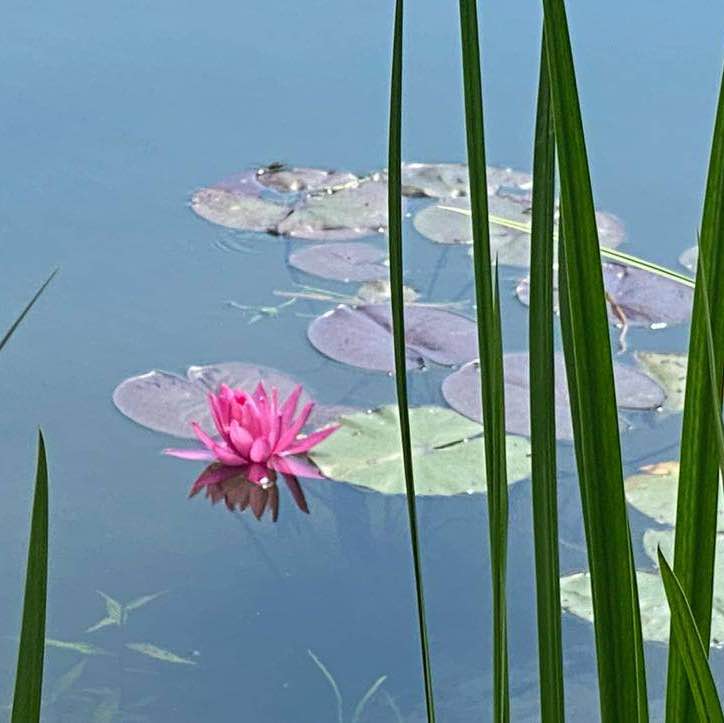 ⛵️ Елена 🇷🇺 post 2