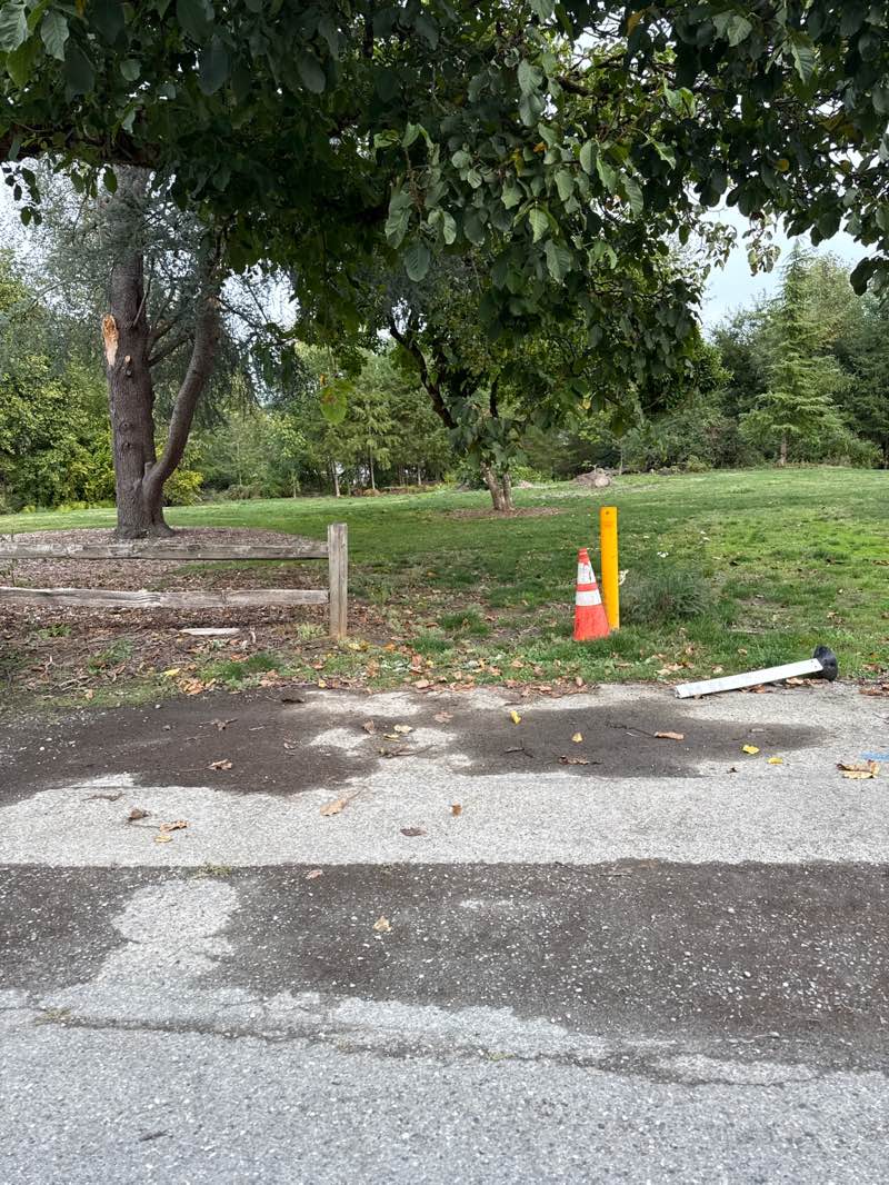 walking near me in Berntsen Park in autumn