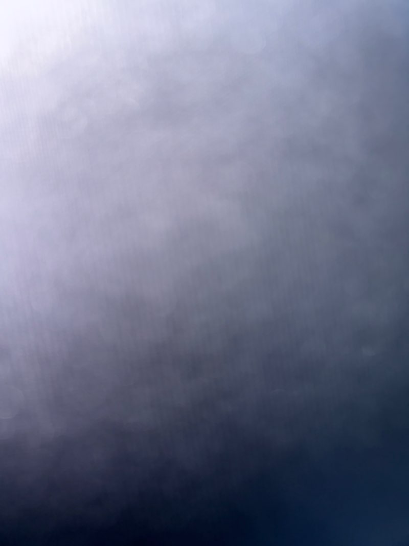 walking near me in Salmon Run Nature Park in autumn