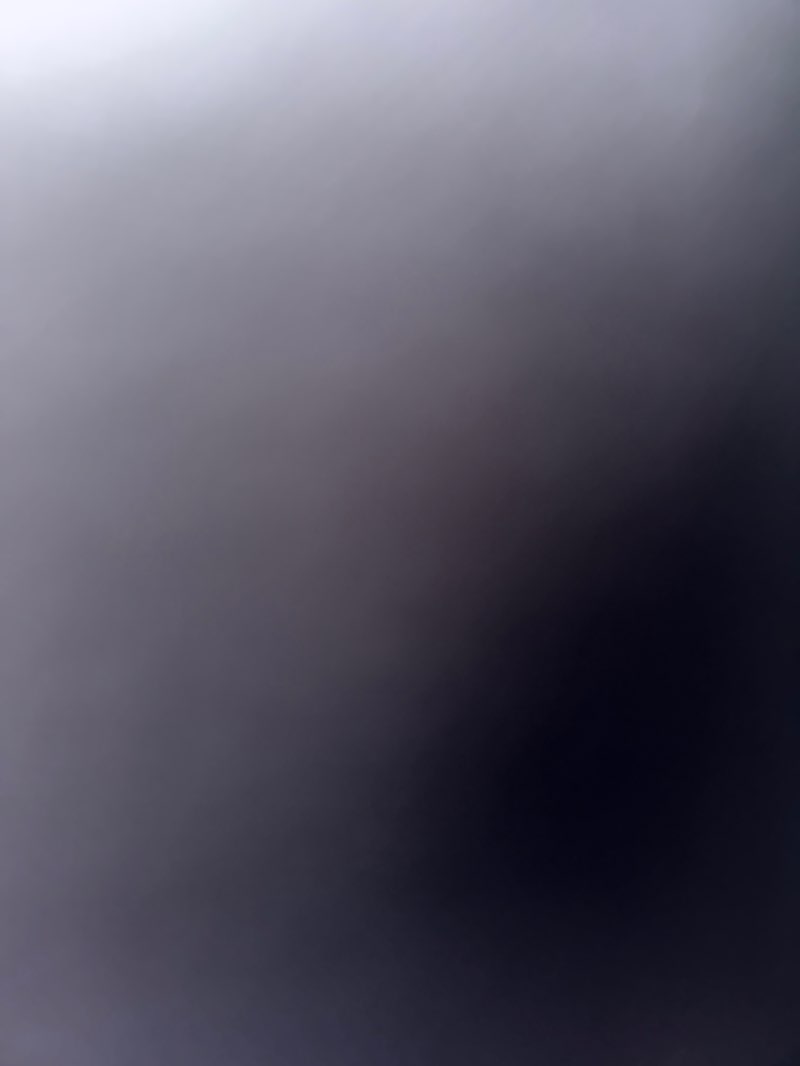 walking near me in Edmonds City Park in autumn