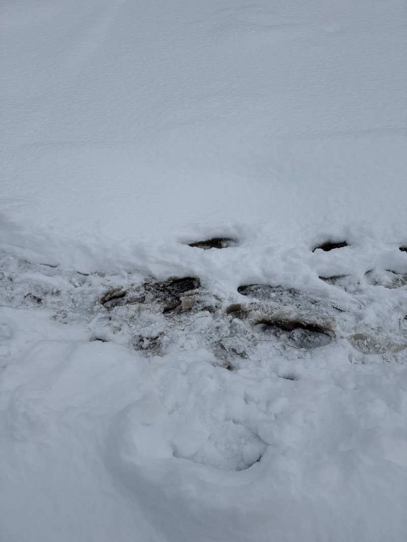 walking near me in Dawson Park in winter