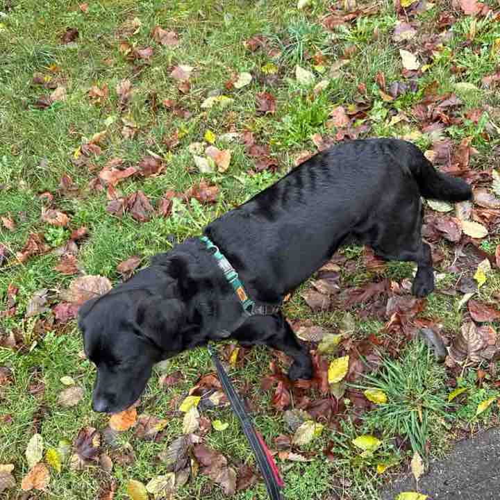 PacerGuy_1990 post 1