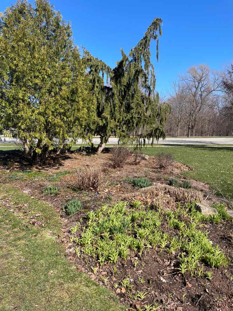 walking near me in Nottinghill Park in spring