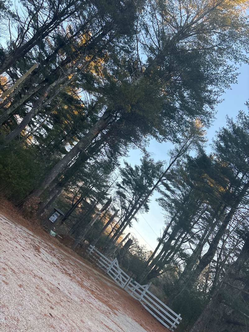 walking near me in Maxwell Mays Wildlife Refuge in winter