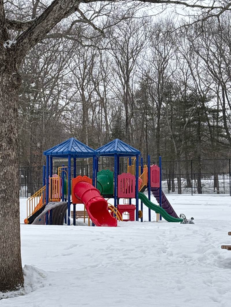walking near me in Hope Park in spring