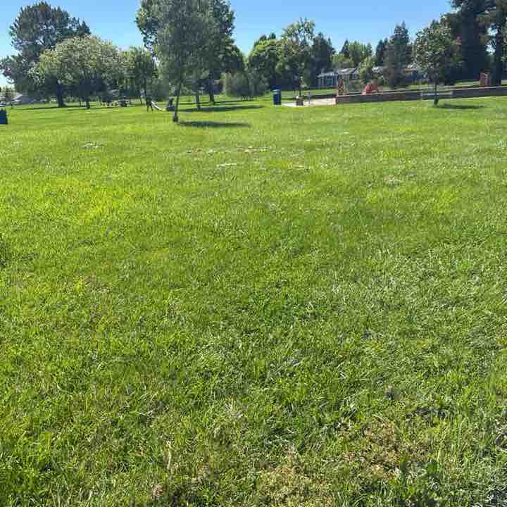 lake street miracle post 1