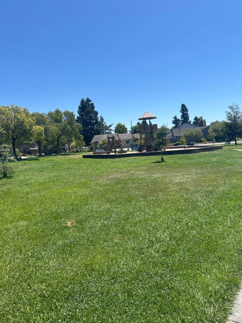 walking near me in Arroyo Park in summer