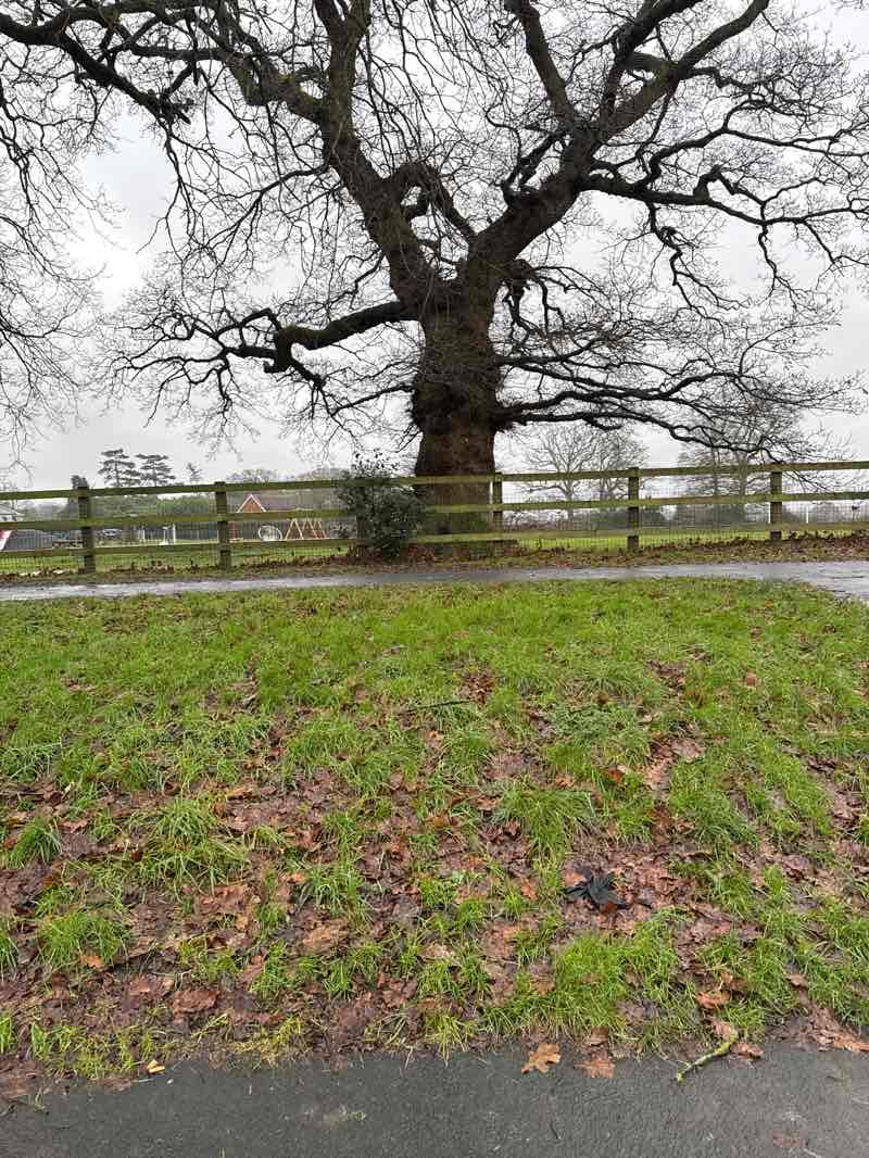 walking near me in Botley Road Park in winter