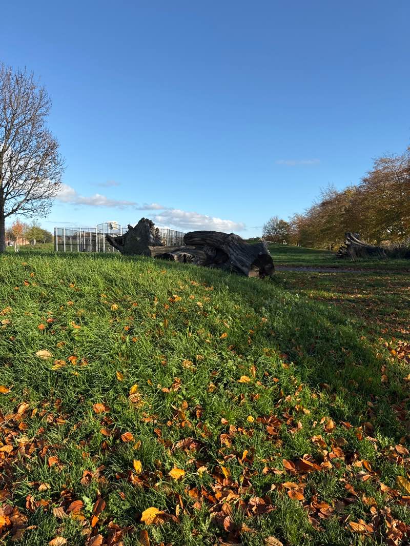 walking near me in Grantham Green in autumn