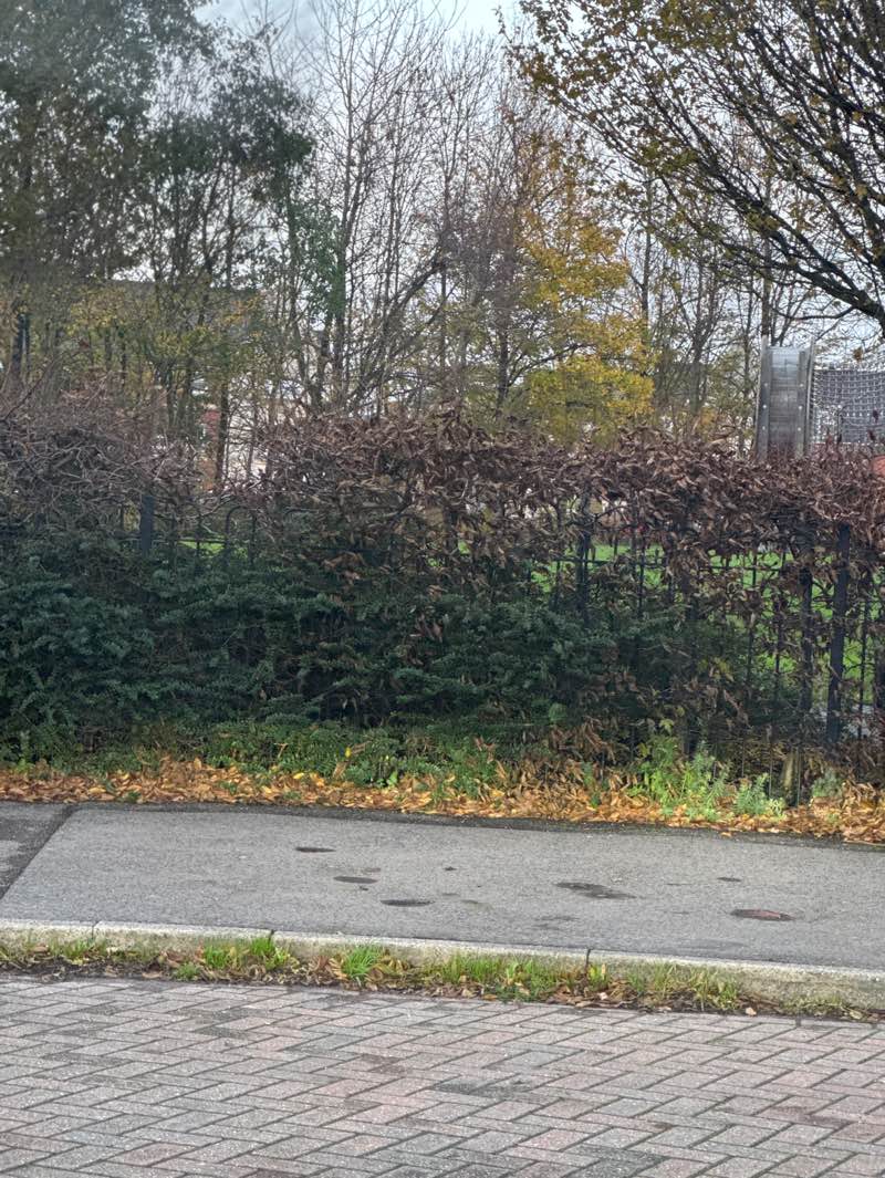 walking near me in Pirelli Park in autumn